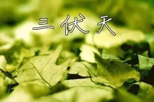 三伏不养生, 秋冬病上身! 做好3防、3戒、3个1, 一年比一年健康!