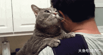 网友坚称自己没养猫, 结果妈妈到家看到带着猫印的面团, 网友……