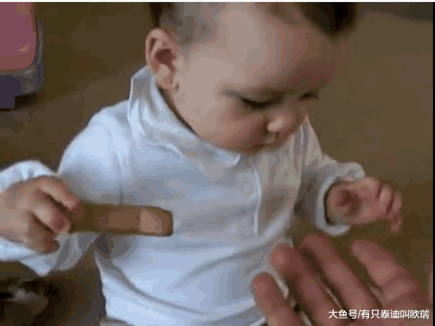 德国狼犬被任性宝宝抢走吃到一半的饼干, 但却超暖心回应宝宝的举动