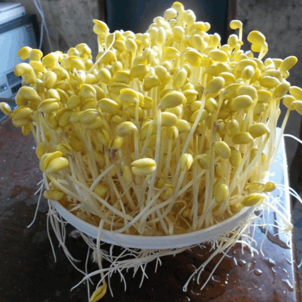 厨房坚决不用煤气灶, 如今流行新神器太给力! 实用还不贵