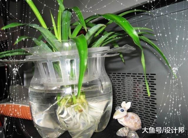 这9种物品用完一定不要扔掉, 我家竟扔了8个现在只能吃灰了!