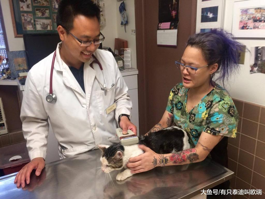 连猫砂盆都丢走「被遗弃无助小猫」爆哭2小时网友都心碎了, 他现在很幸福啰!