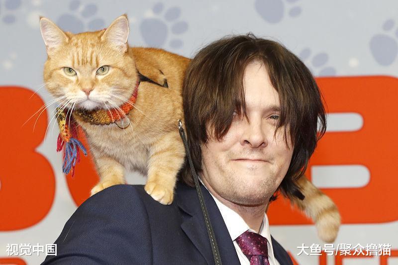 一只可以帮人戒毒的猫咪, 让人成功戒掉毒瘾, 转而成为吸猫患者