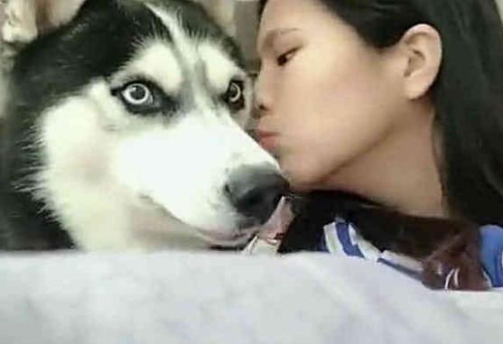 小姐姐突然偷亲一口哈士奇, 二哈上去就是一巴掌, 狗狗: 呵呵女人