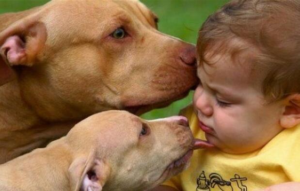 养了狗狗之后, 这5种现象全都有的才是真爱! 你占几种?