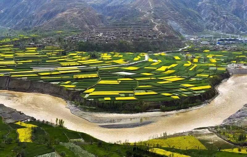 “国际庄”的名号, 到底是梦想还是玩笑