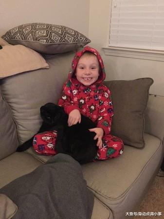 最棒圣诞礼物! 猫咪因火失踪后, 男孩许愿望回家, 结果真的回来了