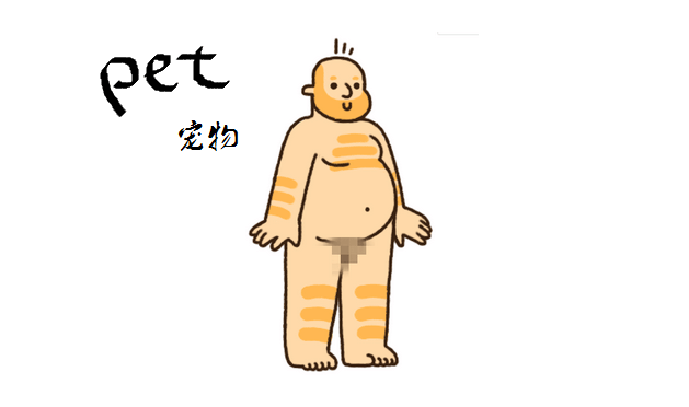 当小猫咪成为猫主子的时候, 人类又是怎样逗趣呢