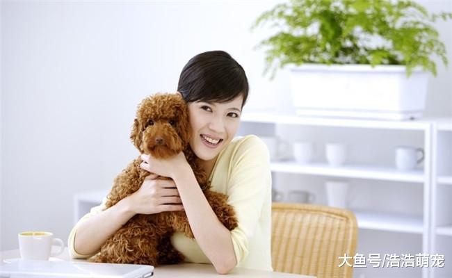 抱狗也需要方法, 下面5种都是错误的, 作为宠主你都知道吗?
