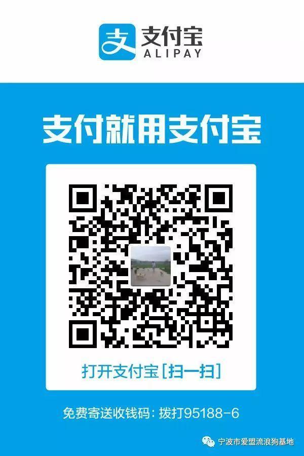 寒风已至, 为爱盟基地的毛孩子们募粮过冬