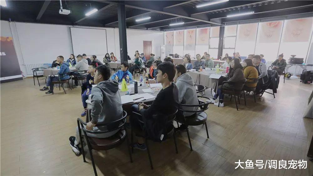 80期《调良宠物行为与正向训练专业培训班》开课了!