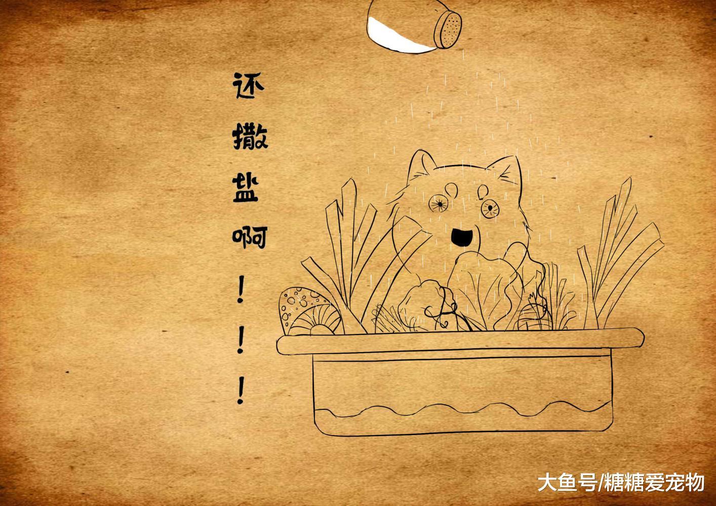 主人假装要做狗肉汤, 结果狗子的反应笑喷了, 狗: 你是认真的吗?