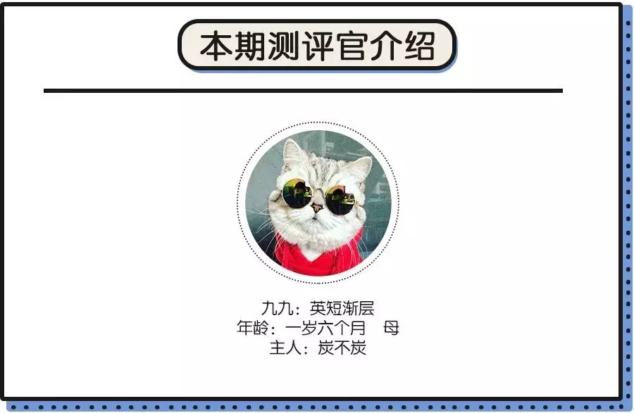 颜值即正义, 老狐狸终于测了这款网红猫包!