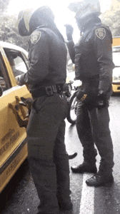 它追了主人整整20条街, “你怎么忍心抛下我…”