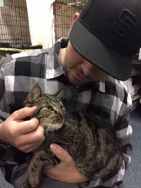 加州大火中走失的两只猫咪终与主人团聚, 这就是圣诞节奇迹吧!