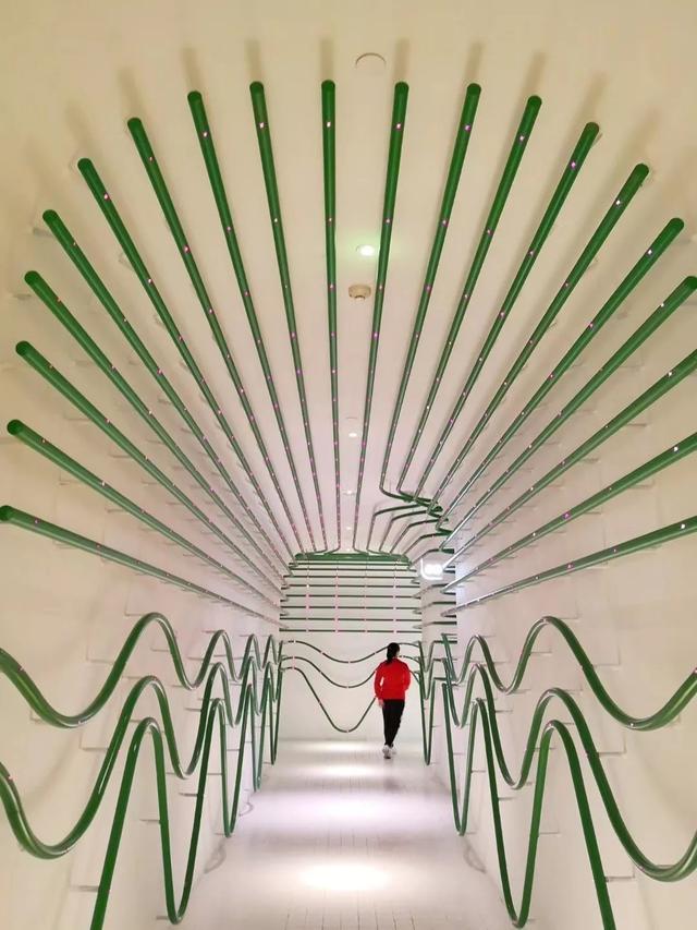 上海再现五星级公厕, 耗资100万似宫殿, 网友: 厕所比家豪华