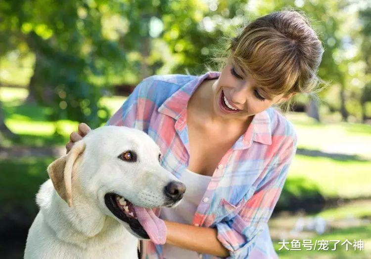 怀孕成弃养理由? 孕妇将狗送往收容所淡然说: 没人领养就安乐死吧