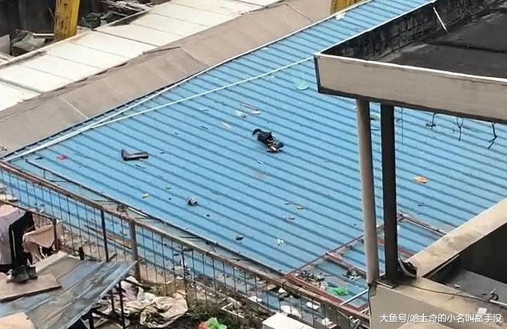 发现一只在房顶上啃鞋的哈士奇, 这是打算把房顶啃漏吗?