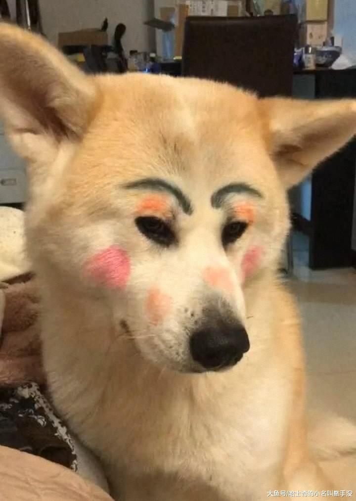 狗子居然那么听话让孩子化妆, 求狗子的心里阴影?