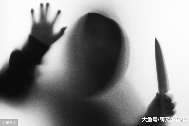 最新统计, 导致狗狗死亡最常见的5个方式, 你可能是凶手!