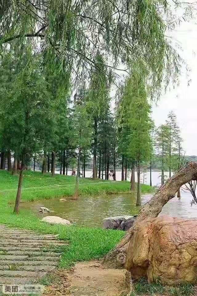 「松湖烟雨里」真正花园房轰动全球, 深受热捧