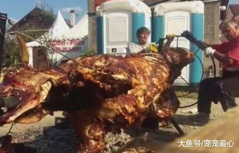 两个老外烤“全牛”, 在户外连续烤了两天, 整头牛面目全非