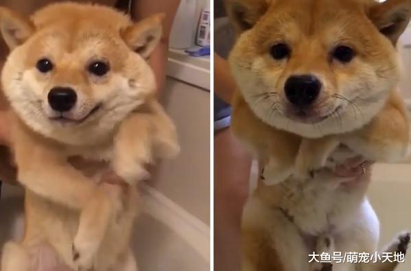 下水前动手动脚划空气暖身, 动感柴露U型笑容变身舞王