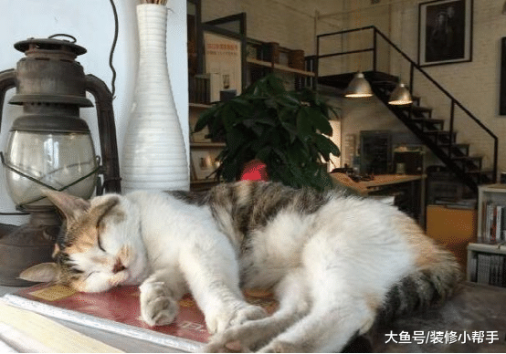 走进演员柯蓝的豪宅, 房子采用复式装修, 感觉缺少了一点豪气