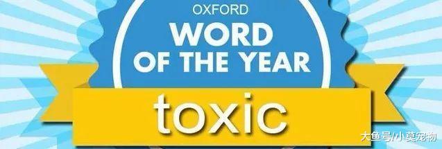 2018年, “有毒”这个梗连牛津辞典都不放过