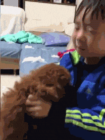 不小心踹到狗, 小男孩抱狗痛哭: “你骨折没, 让哥哥看看”