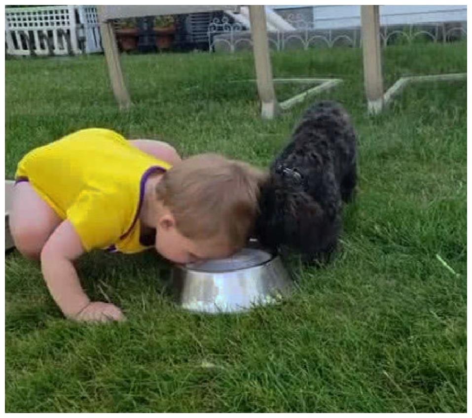 小狗狗的饭盆, 被熊孩子霸占了, 它还被扇了一巴掌, 好在它不计较