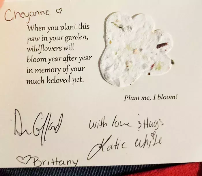 “我先走啦! 留了封信给你, 记得看哦。”