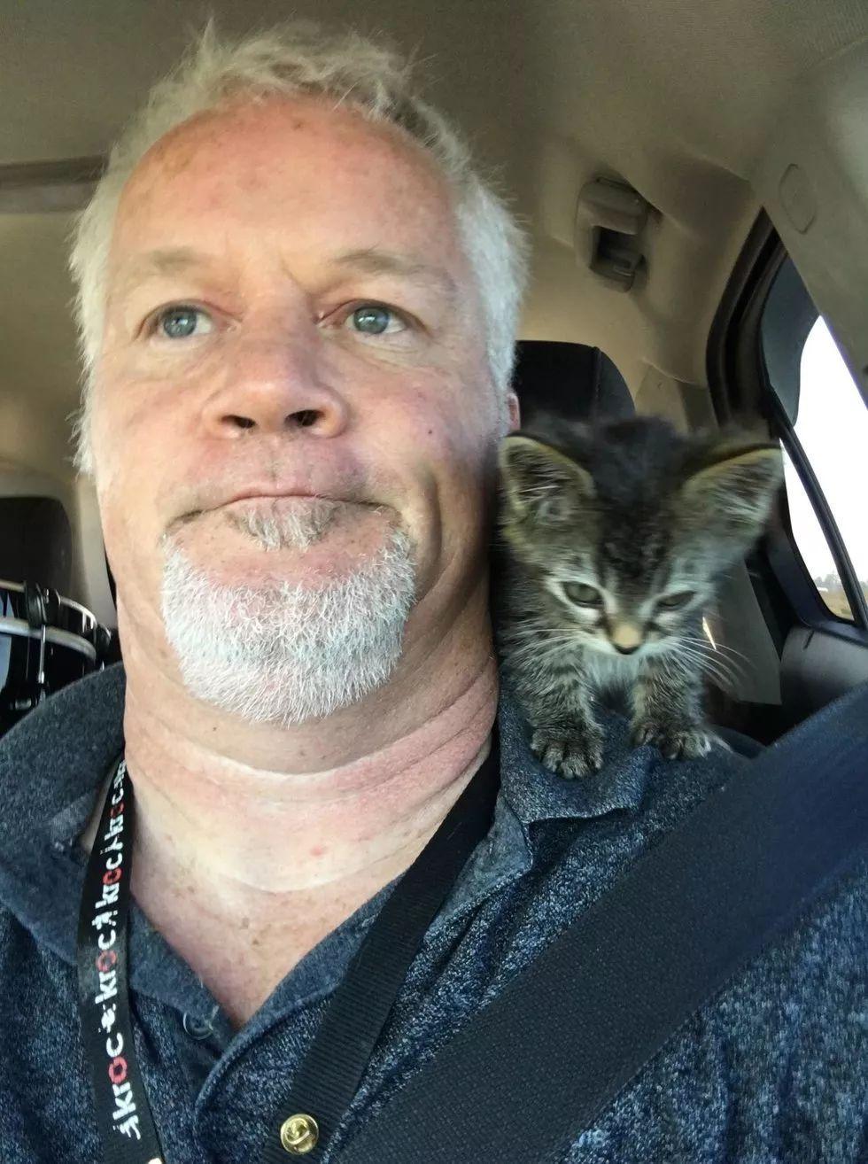 大叔开车路上救下一只流浪猫, 回家才发现这货居然是个粘人精