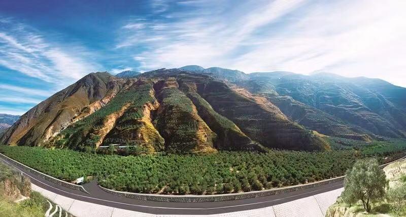 “国际庄”的名号, 到底是梦想还是玩笑