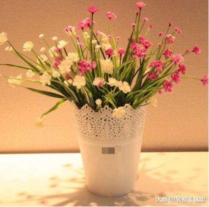 家里别养这几种花, 好多人家里都养了, 家里有的赶紧扔了