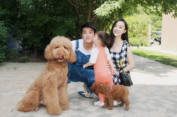 张馨予的宠物一般人都不敢养? 扒一扒明星都养的什么宠物