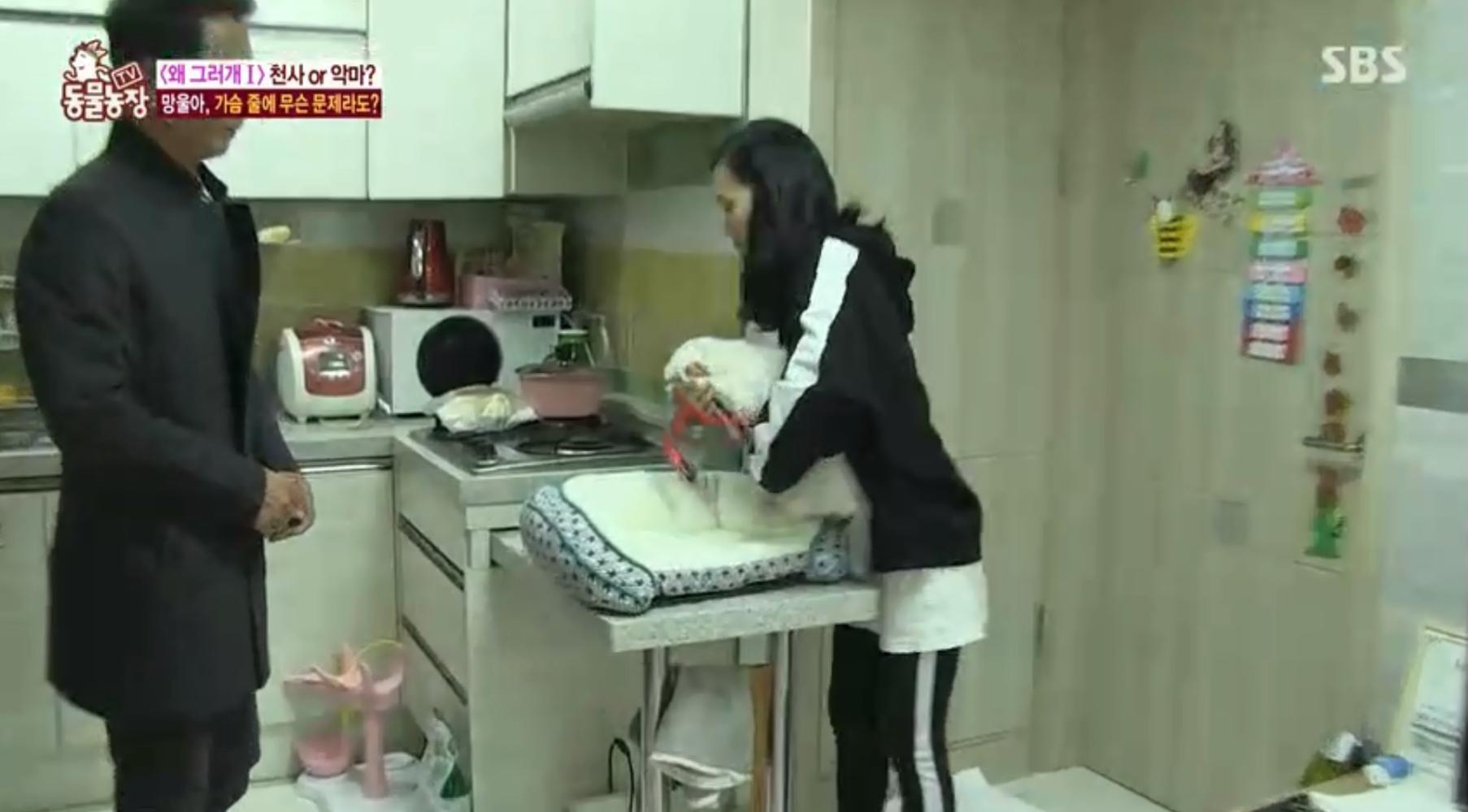 狗狗讨厌脱项圈, 一听指令就会生气, 不断咆哮想咬主人