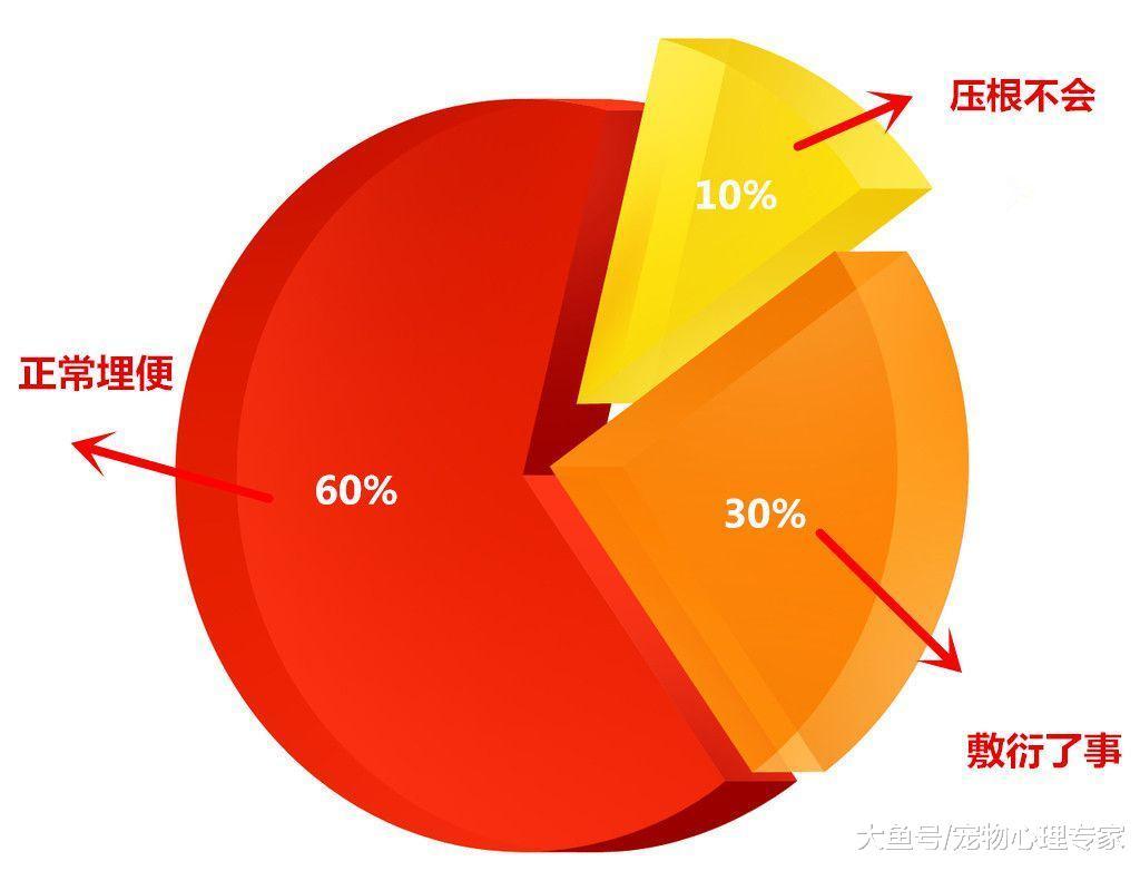 10%的猫咪不会埋便, 令主人头疼不已, 一味地抱怨倒不如查清缘由