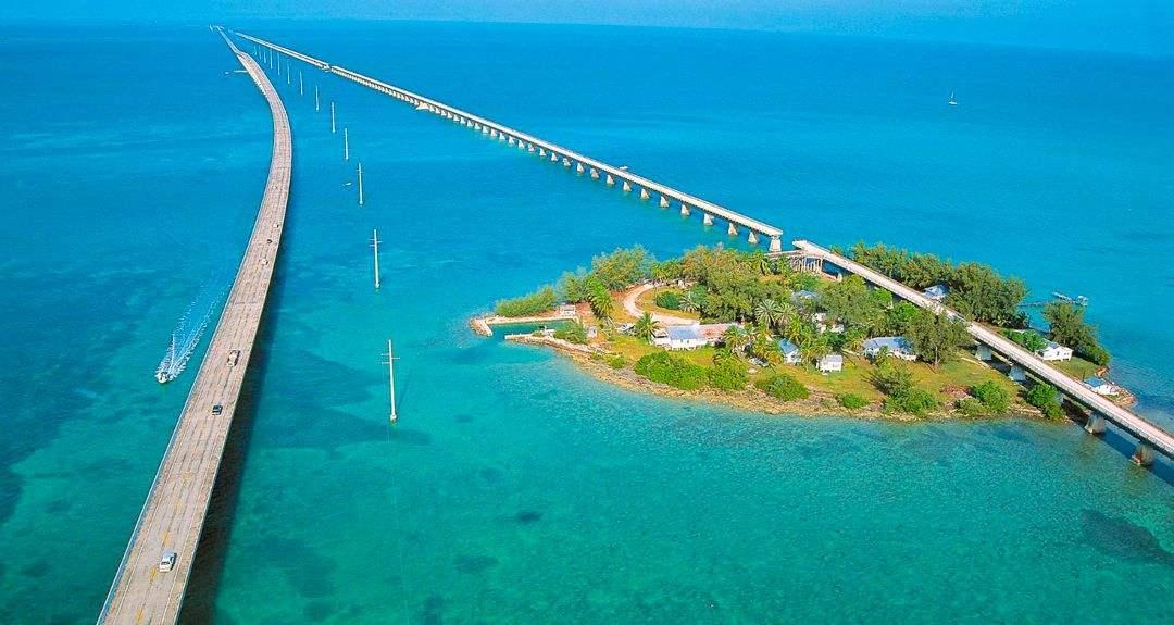 他曾获诺贝尔奖, 娶过四位妻子, 最后被猫毁灭