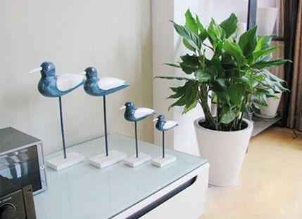 玄关切记要放这几样吉祥物, 暗喻越住越富裕, 有钱人一看就懂!