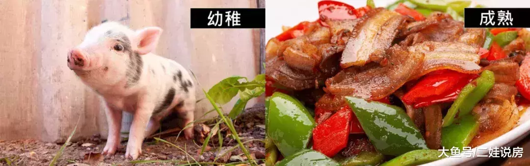太奇葩! 广州一小区, 业主私自圈地养猪、鸡、羊……