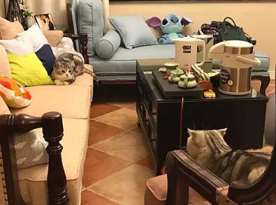 看到我们的150平混搭美式婚房, 丈母娘直说有福气!