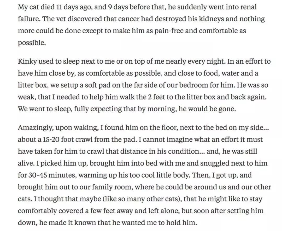 “我先走啦! 留了封信给你, 记得看哦。”