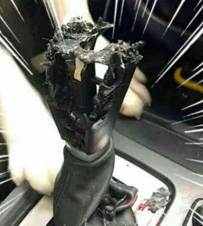 后悔把二哈留在车里, 你看这操纵杆, 狗狗: 快说你爱我!