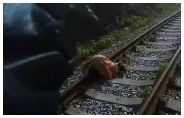 主人看不惯狗狗, 把它绑在铁轨, 想着火车会帮他解决烦恼