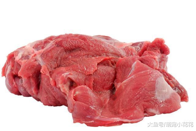 遇到以下的5种狗狗, 请尽快远离, 很容易伤人!