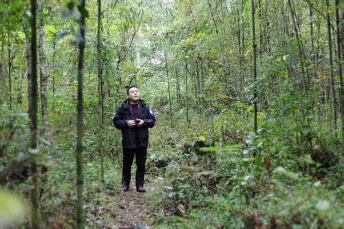 一个自称“原始人”的人, 常年在深山里面, 村民却称他带来好生活
