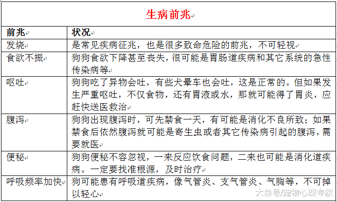 狗狗生病遭罪还花钱, 做好这6点, 让疾病远离它