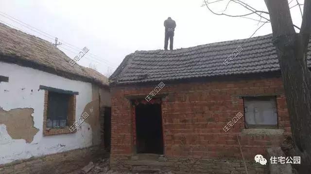 山东农村自建一层农家院, 造价25万还做了化粪池, 真让人羡慕