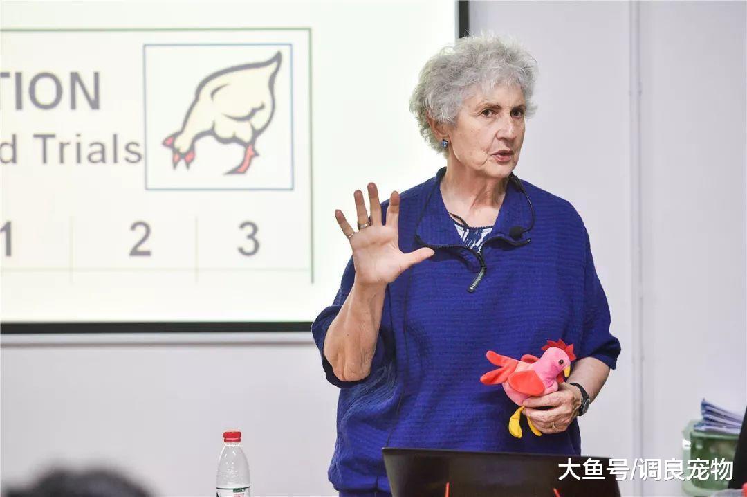国际训练界泰斗——Terry Ryan